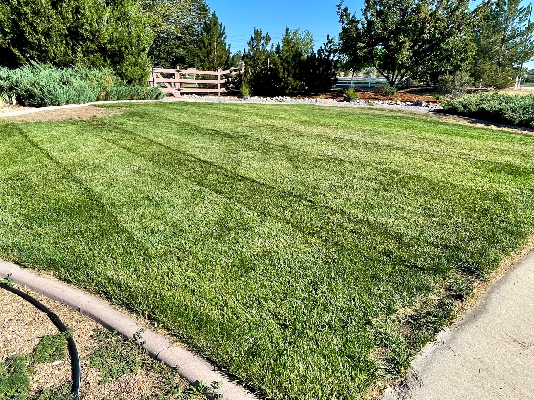 After lawn care by Zero Trace