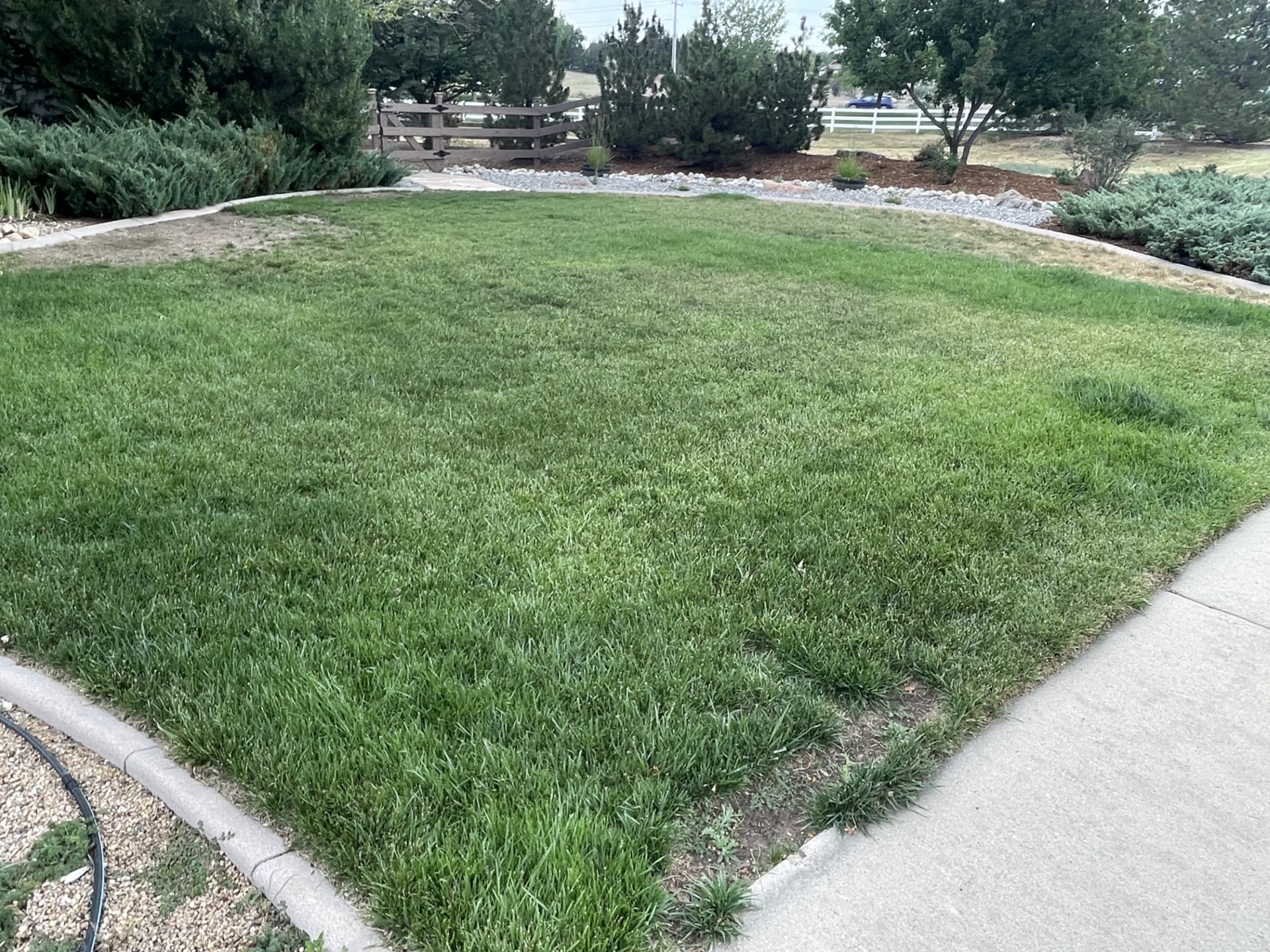 Before lawn care by Zero Trace